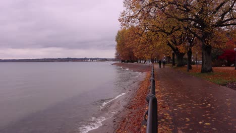 Bregenz-lake-promenade-in-autumn---Lake-Constance-with-autumn-trees-and-leafs-on-the-ground---rainy-day
