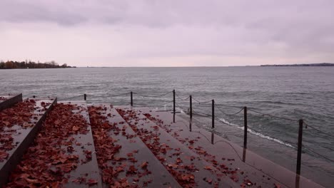 Bregenz-lake-promenade-in-autumn-with-leafs---rainy-day
