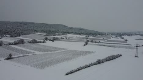 Drone-flies-high-over-winter-landscape-with-mountains-and-vineyard