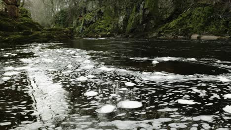 Swirling-bubbles-of-white-foam-slowly-circulate-on-the-surface-a-Scottish-river-in-a-hypnotic,-constantly-changing-pattern-of-organic-shapes-as-a-fast-river-current-flows-through-a-green,-mossy-gorge