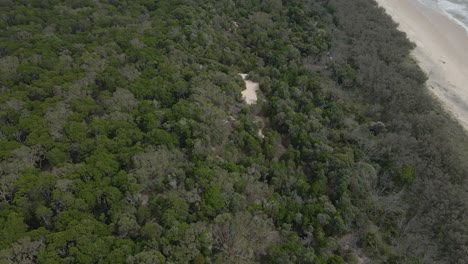Aerial-View-Of-Lush-Green-Trees-On-The-Coastline-Of-North-Stradbroke-Island-In-Queensland,-Australia