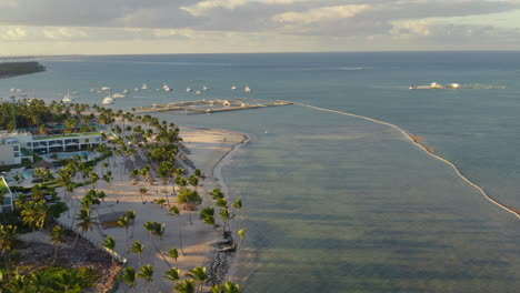 Punta-Cana-Tropischer-Palmenstrand-Mit-Hotelresort-Und-Delfinforscher