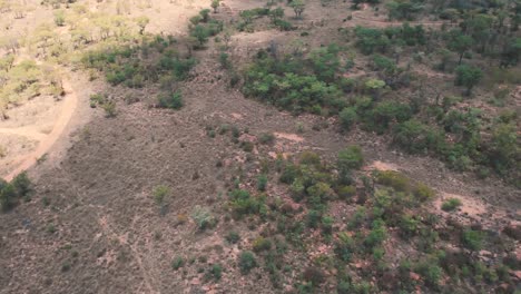Bird-view-of-african-woodland-veld-with-dirt-road-in-shade,-drone-shot