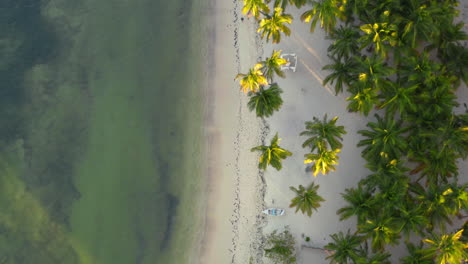 Wellen-Waschen-Tropischen-Weißen-Sandstrand-Mit-Sonnenbeschienenen-Palmen