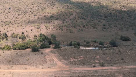 Afrikanische-Savannenlandschaft-Mit-Fluss,-Feldweg-Und-Bäumen,-Drohnenaufnahme
