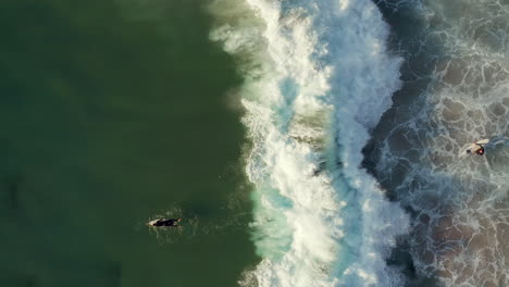 Ein-Surfer-Liegt-Flach-Auf-Seinem-Surfbrett-Und-Paddelt-In-Richtung-Brechender-Wellen-In-Llandudno-Beach,-Kapstadt,-Südafrika