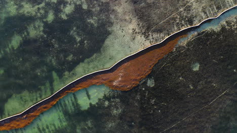Floating-seaweed-barrier-holding-brown-algae-from-spreading,-overhead