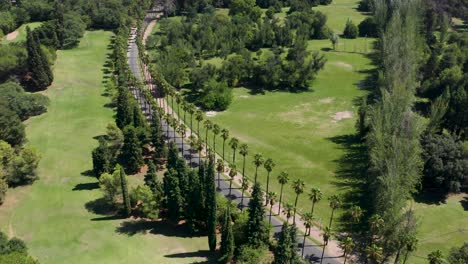 Long-curve-of-road-surrounded-by-palm-trees-in-green-environment