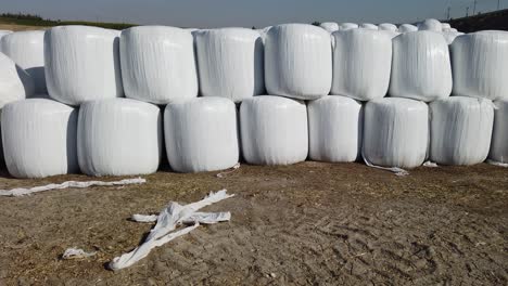 Wrapped-and-Stacked-Bales-of-Hay