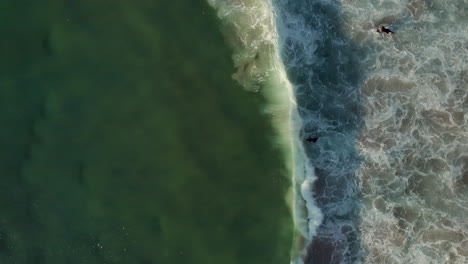 Surfers-On-The-Ocean-Waves-In-Llandudno-Beach,-Cape-Town---aerial-top-down