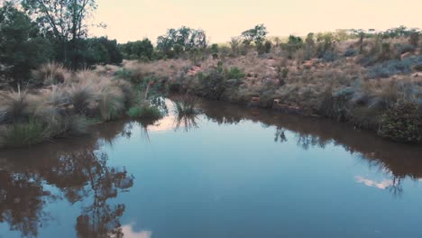 Kleiner-Fluss-Mit-Grasbewachsenen-Ufern-In-Afrikanischer-Savanne,-Dolly-Schuss-Nach-Vorne