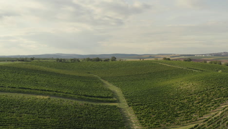 Beautiful-rolling-hills-of-green-fertile-fields,-rural-Czech-Republic,-Aerial-track-Parallax