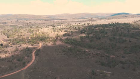 Shadows-over-vast-african-landscape-with-trees-and-dirt-road,-drone