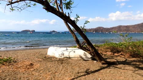 Wooden-boat-on-tropical-beach-with-a-tree-on-a-sunny-day,-Coco-Beach-in-Guanacaste,-Costa-Rica