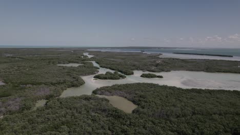 Green-Vegetation-And-Lake-Of-Bacalar-In-Mexico-At-Daytime---aerial-drone-shot