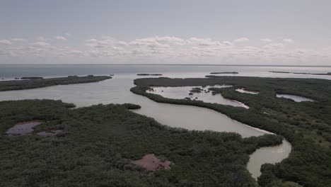 Lush-Vegetation-And-Lake-Waters-Of-Bacalar-In-Mexico---aerial-drone-shot