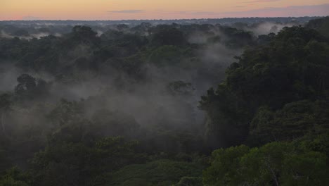 Slow-right-to-left-pan-of-Tambopata-National-Reserve-covered-in-morning-mist