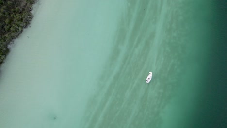 A-Boat-Sailing-Through-The-Vast-Lake-Waters-Of-Bacalar-In-Mexico-Overlooking-The-Dense-Forest-Side-Of-The-Lagoon--Aerial-Overhead-Shot