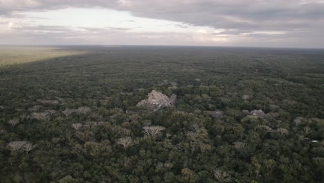Aerial-Wide-Shot-Of-The-Lush-Forest-Field-In-Mexico