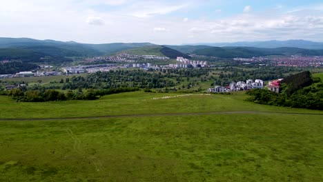 Drone-view-over-a-part-of-the-Floresti-village-and-a-herd-of-sheep-walking-around