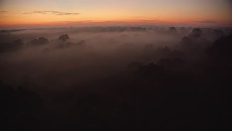 Dschungelbäume,-Die-über-Dem-Morgennebel-Zu-Sehen-Sind,-Der-Das-Tambopata-Nationalreservat-Bedeckt