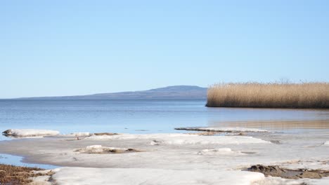 Ice-and-reed-in-front-of-Kinnekulle-–-a-flat-topped-mountain-in-the-county-of-Västergötland,-Sweden,-on-the-eastern-shore-of-lake-Vänern