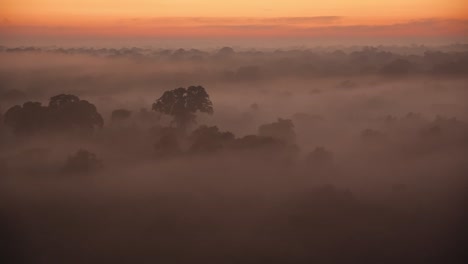 Static-establishing-shot-of-Tambopata-National-Reserve-at-dawn,-covered-in-mist