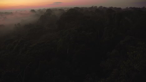 Langsamer-Schwenk-Von-Rechts-Nach-Links-über-Das-Nebelbedeckte-Tambopata-Nationalreservat-Im-Morgengrauen