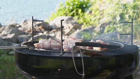 Skewers-cooking-on-barbecue-grill-at-waterside