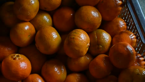 Mandarinen-Bereit-Für-Den-Supermarkt