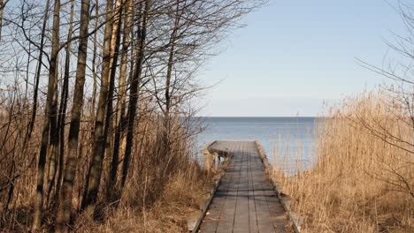 Wooden-jetty-that-is-ending-with-a-great-view-of-the-lake