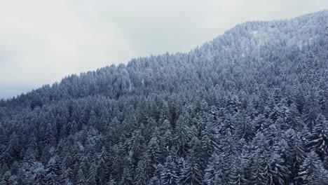 Paisaje-Aéreo-De-La-Cima-De-La-Montaña-De-Invierno-Con-árboles-Cubiertos-De-Bosque-Denso-De-Nieve-En-Vosges-Francia-4k