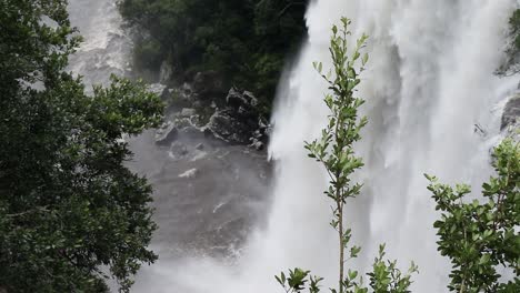 Statische-Nahaufnahme-Eines-Astes-Mit-Einem-Wasserfall-Im-Hintergrund