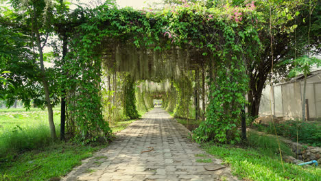 Hermoso-Arco-De-árbol-En-El-Túnel-En-El-Jardín