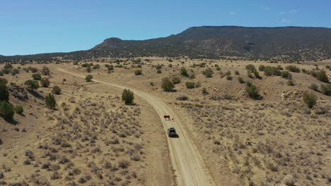 Aerial-footage-as-vehicle-waits-on-cows-to-cross-rural-desert-dirt-road