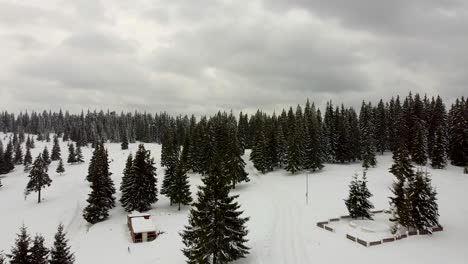 Snow-dy-in-the-mountain-near-Belis-Marisel-village