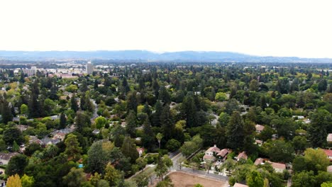 4k-Antenne-Palo-Alto-Ca-Wohngemeinschaft-In-Bäumen-Gehüllt