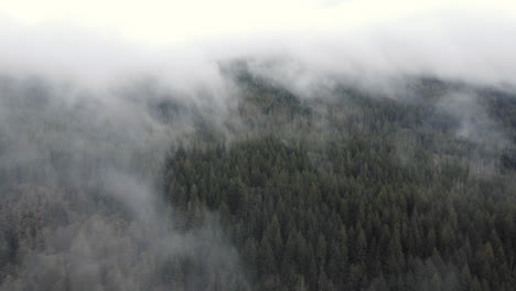 Eine-Drohne-Dringt-Ein,-Während-Sich-Der-Nebel-über-Einem-Dunkelgrünen-Wald-Lichtet