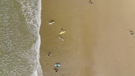 Aerial-top-down-shot-zooming-out-of-surfers-leaving-the-ocean-after-catching-waves
