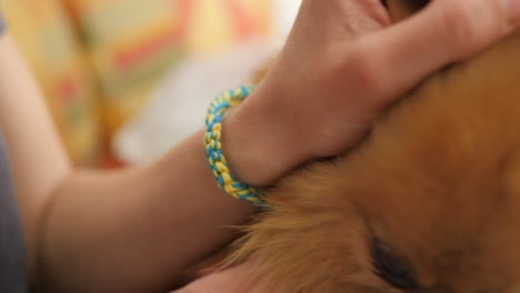 Handgefertigtes-Armband-Mit-Ukrainischen-Farben-Und-Einem-Pommerschen-Hund