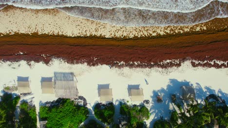 Tropisches-Mexikanisches-Luxusresort-Am-Strand,-Befallen-Mit-Orangefarbenen-Algen