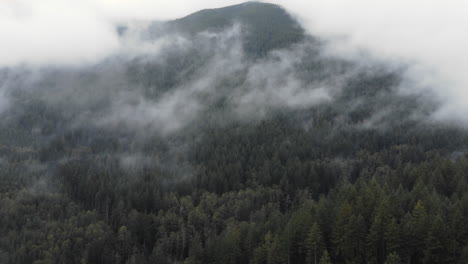 Ein-Luftstoß-In-Der-Umlaufbahn-In-Den-Pnw-Bergen,-Während-Nebel-Tief-über-Den-Wald-Rollt