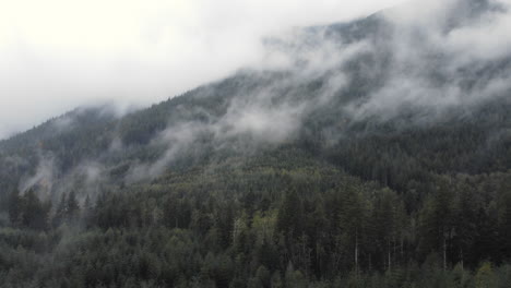 Ein-Langsamer-Drohnenschuss-In-Den-Olympischen-Bergen,-Während-Nebel-Tief-über-Den-Wald-Rollt