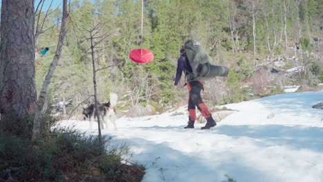 Red-Swing-Disc-Hanging-On-A-Tree-With-Hiker-And-Pet-Dog-Passing-By-In-Winter