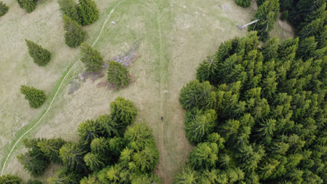 Aerial-Drone-Following-A-Cyclist-Riding-On-A-Long-Hillside-Bike-Trail-Covered-With-Spruce-Trees