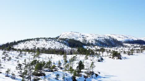 Snow-Covered-Mountain-Valley-With-Pine-Forest-Trees-On-Clear-Blue-Sky