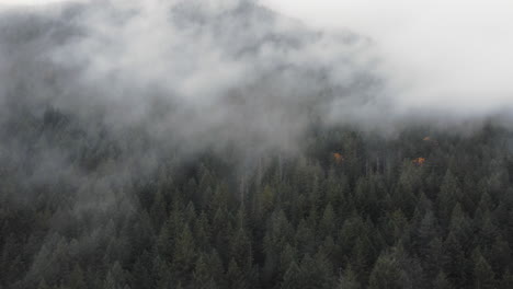 An-aerial-push-in-through-dramatic-Washington-fog-rolling-through-the-mountains-and-evergreen-forest