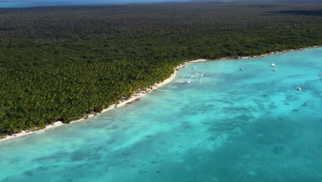 Tropical-rainforest-sea-coast-with-palm-trees-and-boats,-isla-Saona