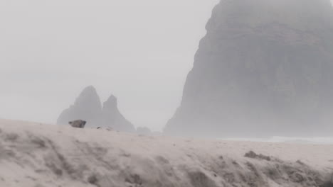 Nebel-Rollt-An-Einem-Launischen-Tag-An-Haystack-Rock-An-Der-Küste-Von-Oregon-Vorbei