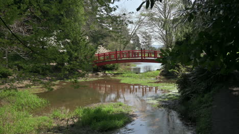 Rote-Brücke-Im-Japanischen-Garten-Spiegelt-Sich-Im-Teich-Wider
